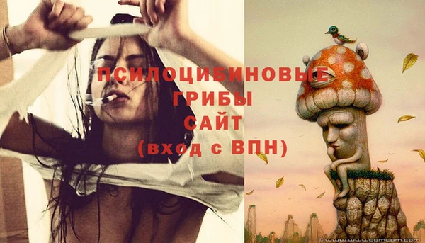 мяу мяу мука Абдулино