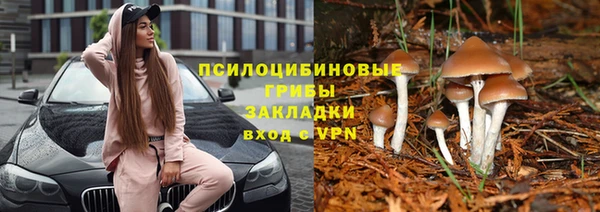 мяу мяу мука Абдулино