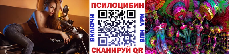 Галлюциногенные грибы прущие грибы  Керчь 