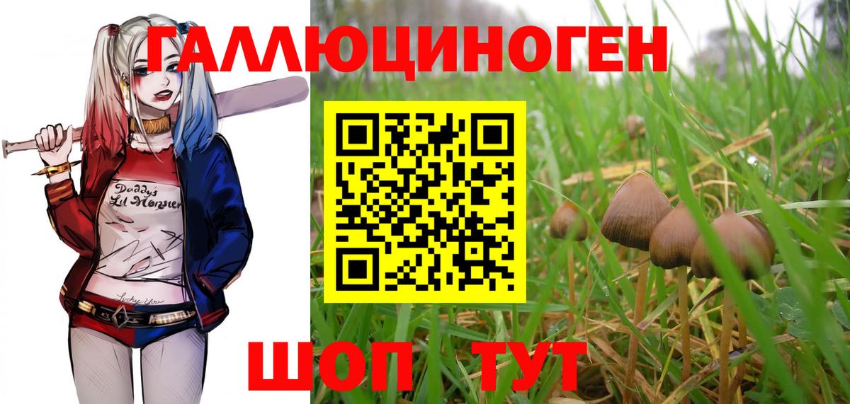 Галлюциногенные грибы мухоморы Керчь