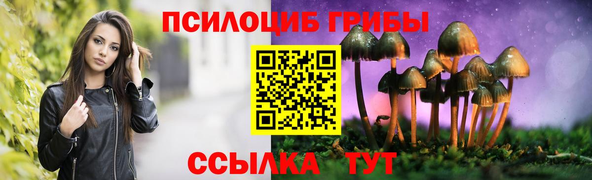 Псилоцибиновые грибы MAGIC MUSHROOMS  цена   Вход с VPN  Керчь  Псилоцибиновые грибы ЛСД 